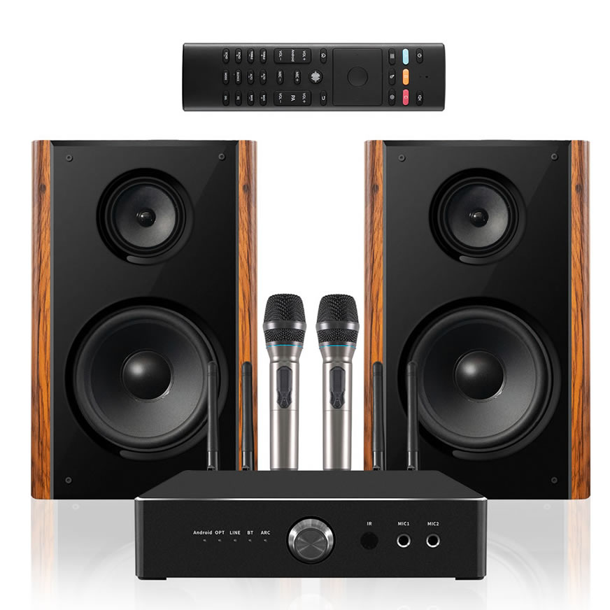 Enceinte de Karaoké Maison Professionnelle 300W Haute Puissance | iHomeLife-HLQ Audio HiFi pour KTV Maison, Home Cinéma et Petites Représentations